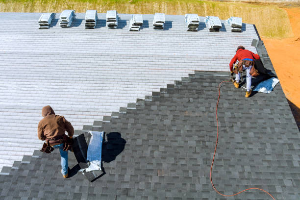 Roof Gutter Cleaning in Forest Hills, MI