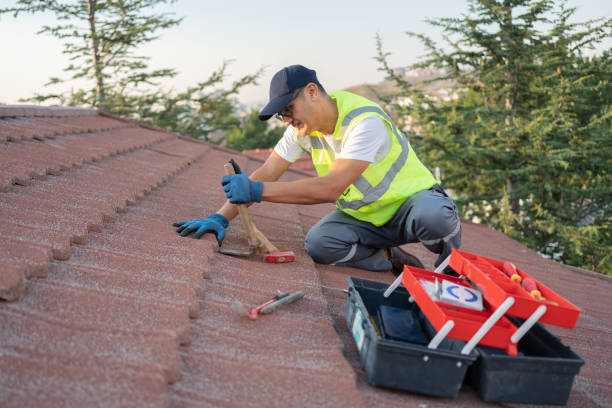 Sealant for Roof in Forest Hills, MI